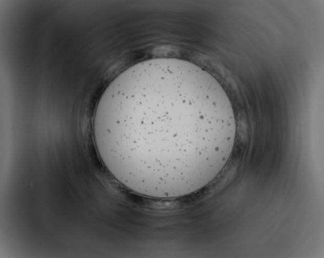 X0000088190375200705151004