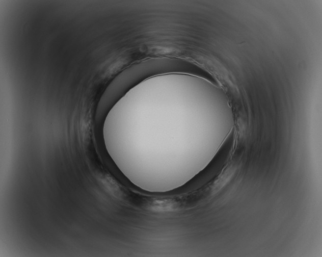 X0000088190376200705151004