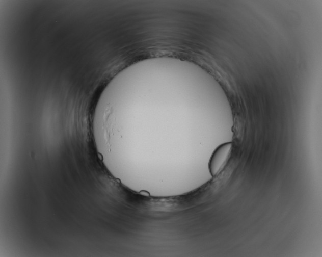 X0000088190378200705151004