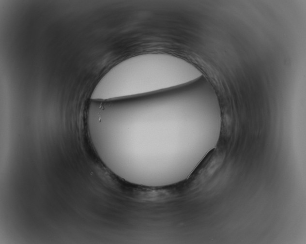 X0000088190379200705151004