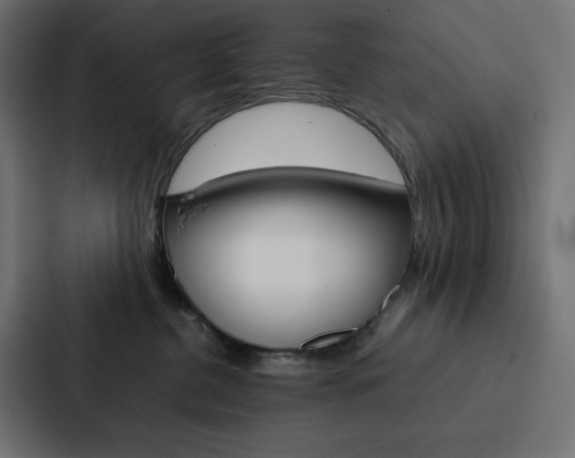 X0000088190380200705151004