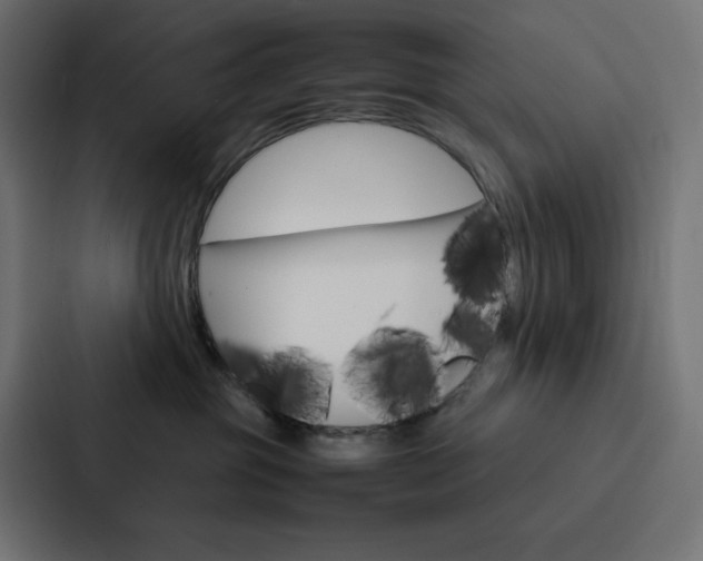 X0000088190381200705151004