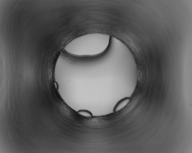 X0000088190382200705151004