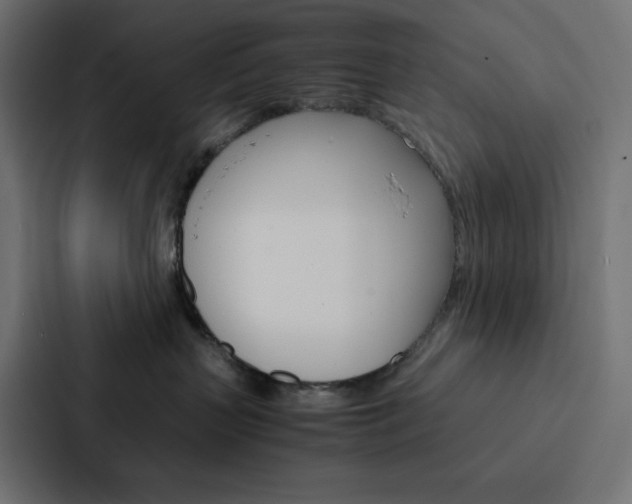 X0000088190383200705151004