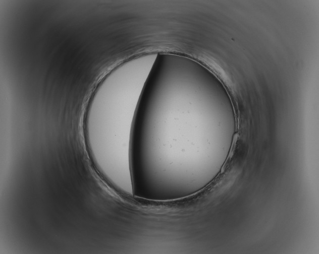 X0000088190389200705151003