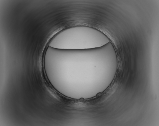 X0000088190390200705151003