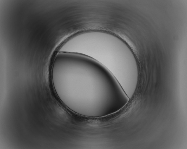 X0000088190391200705151003