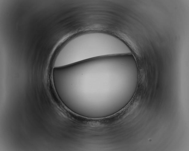 X0000088190392200705151003