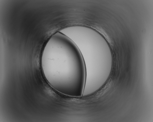 X0000088190393200705151003