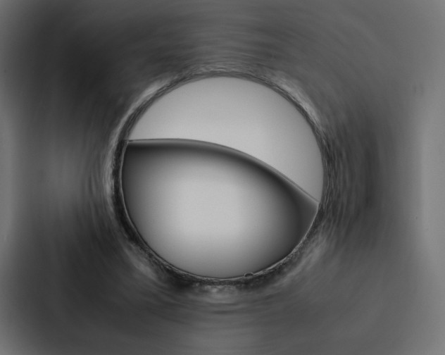X0000088190395200705151003