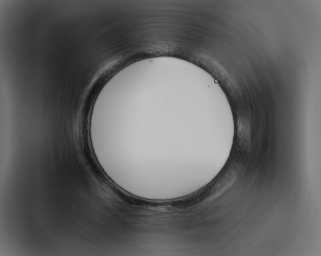 X0000088190396200705151003