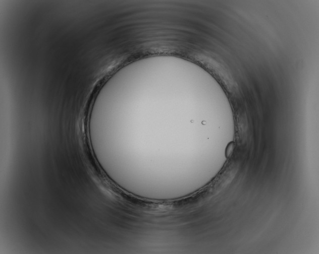 X0000088190398200705151003