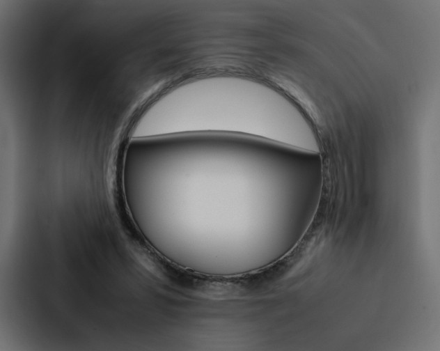 X0000088190399200705151003