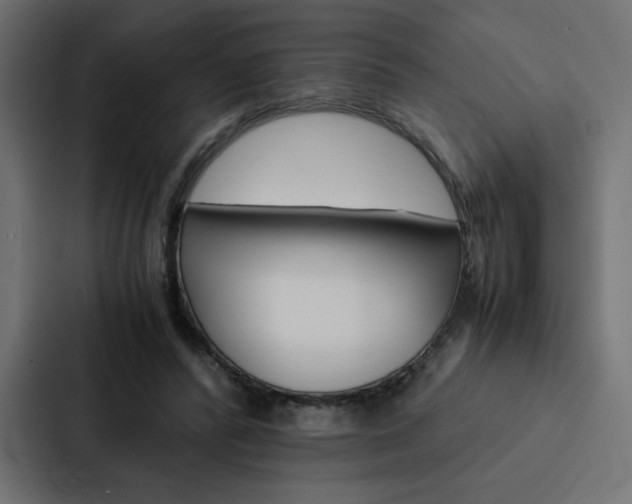 X0000088190400200705151003
