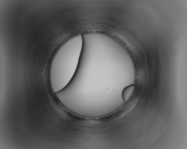 X0000088190402200705151003