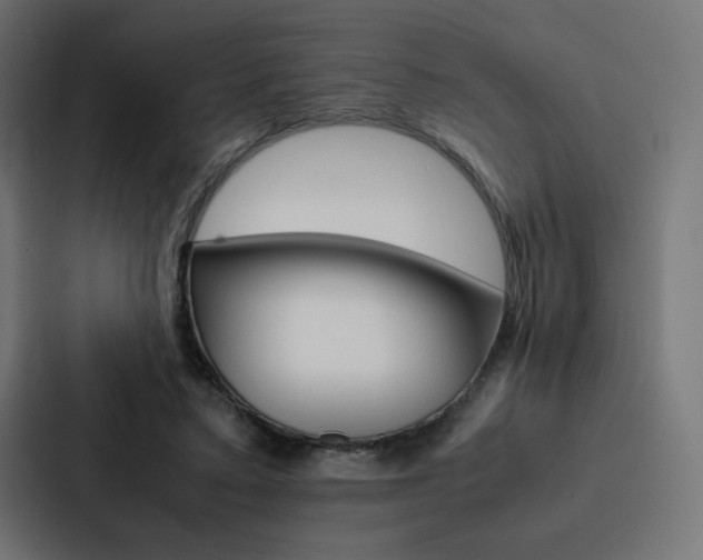 X0000088190403200705151003