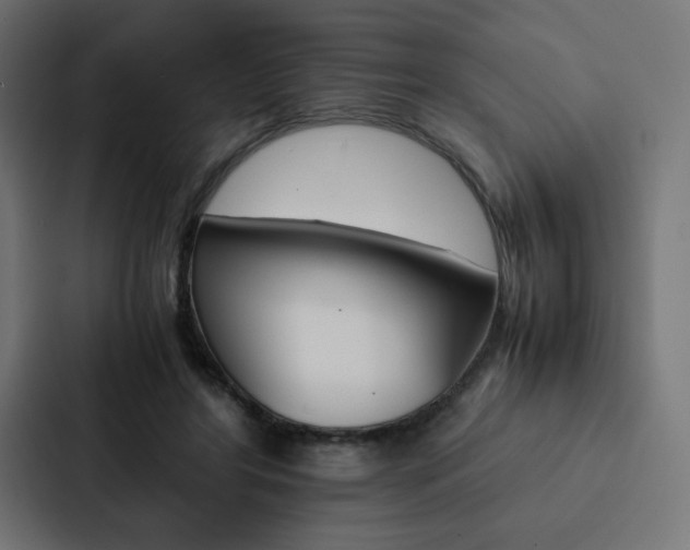 X0000088190404200705151003