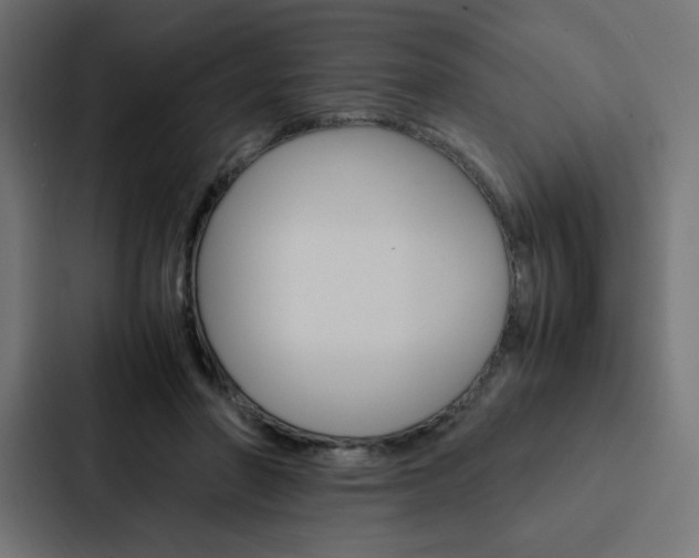 X0000088190406200705151003