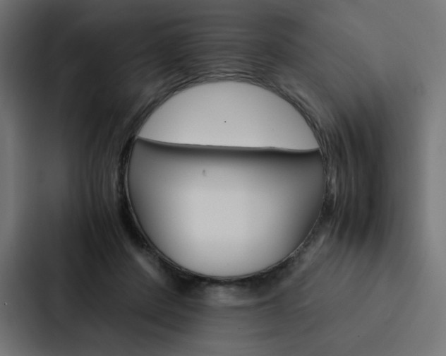 X0000088190408200705151003