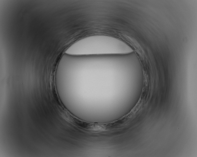 X0000088190409200705151003