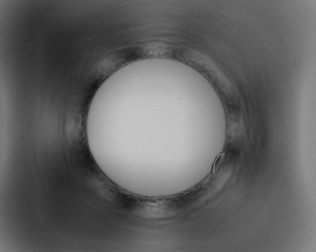 X0000088190411200705151003