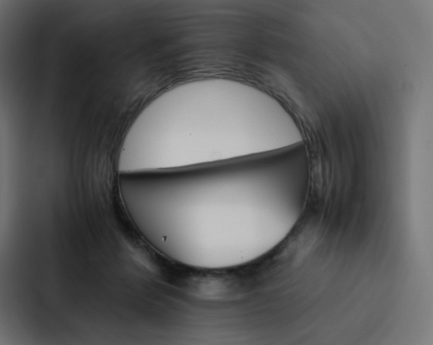 X0000088190412200705151003
