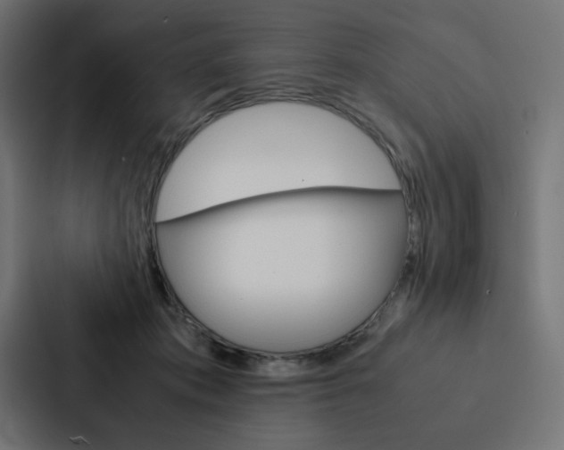 X0000088190413200705151003