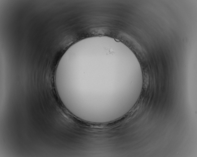 X0000088190414200705151003
