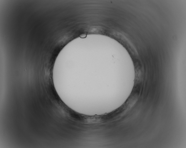X0000088190415200705151003