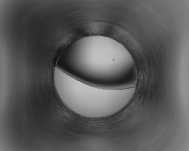 X0000088190416200705151003