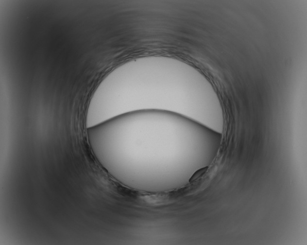 X0000088190417200705151003