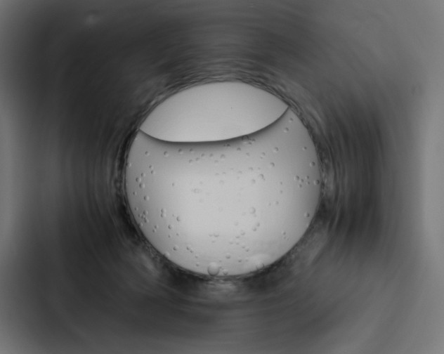 X0000088190418200705151003