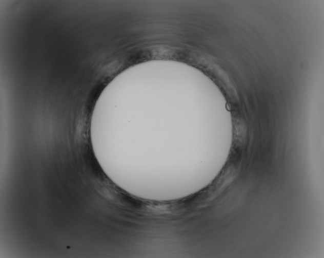 X0000088190419200705151003
