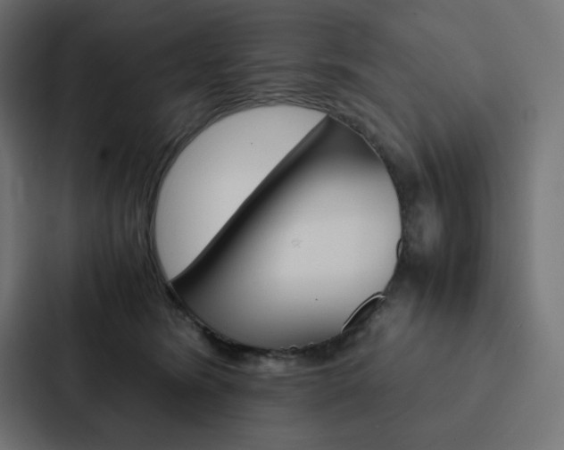 X0000088190420200705151003