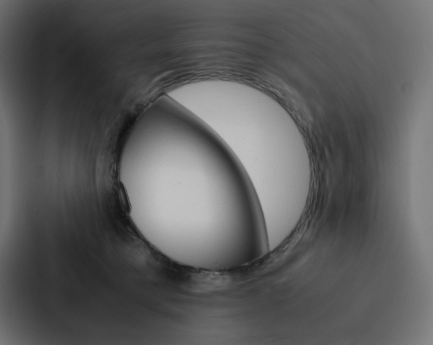 X0000088190421200705151003