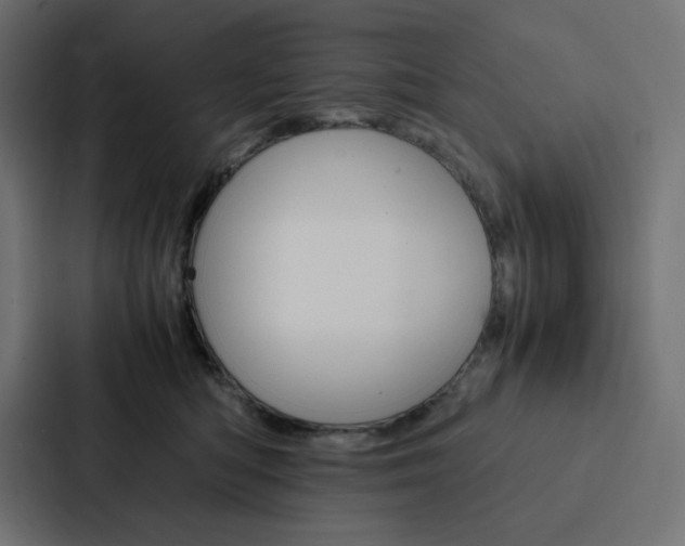 X0000088190422200705151003