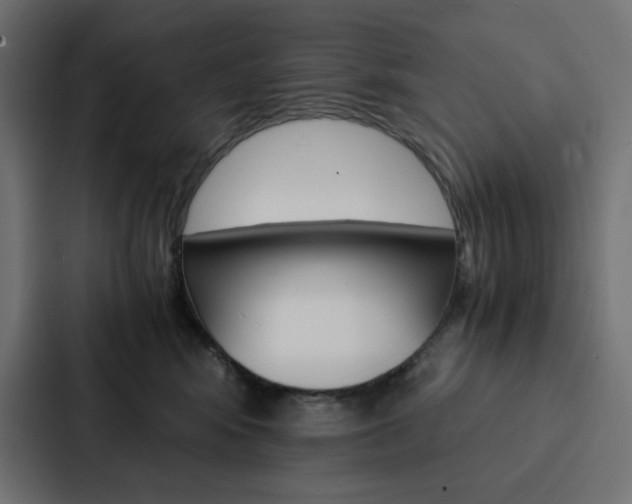 X0000088190424200705151003