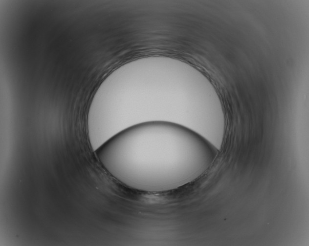 X0000088190425200705151003