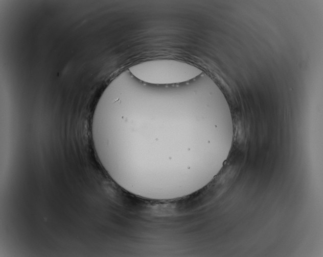 X0000088190426200705151003