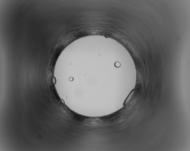 X0000088190427200705151003