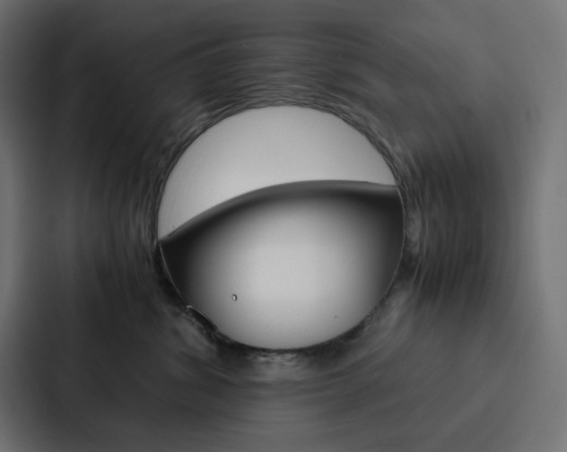 X0000088190428200705151003