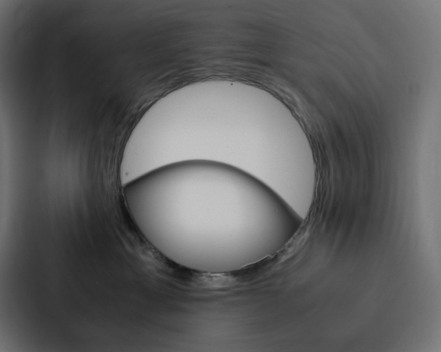 X0000088190429200705151003