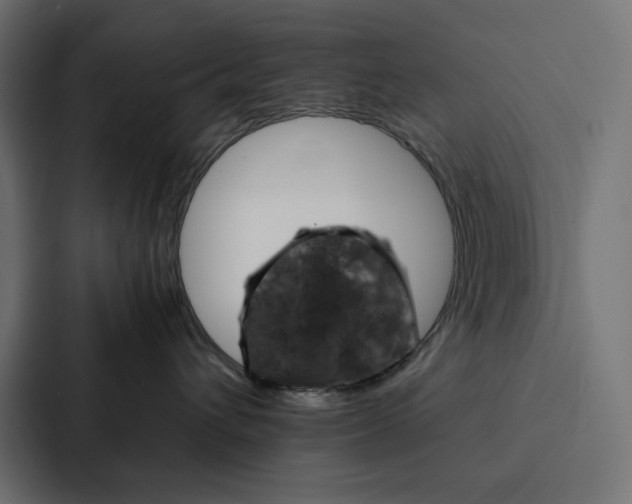 X0000088190432200705151003