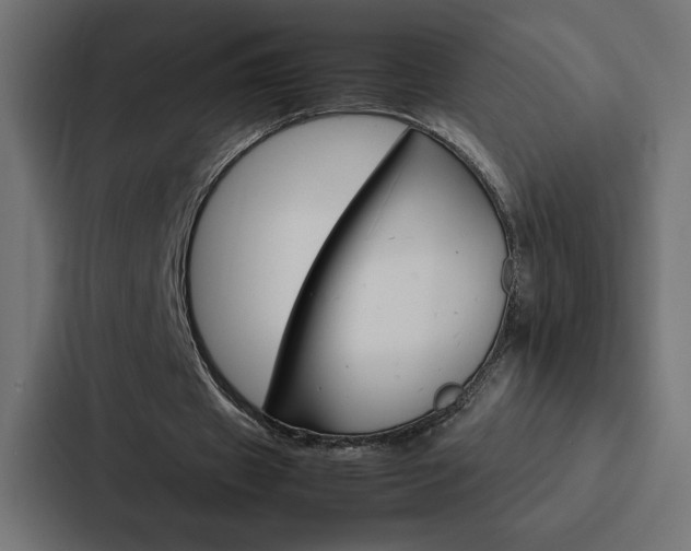 X0000088190433200705151002
