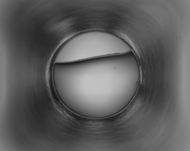 X0000088190435200705151002