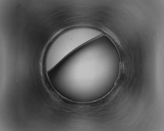 X0000088190436200705151002