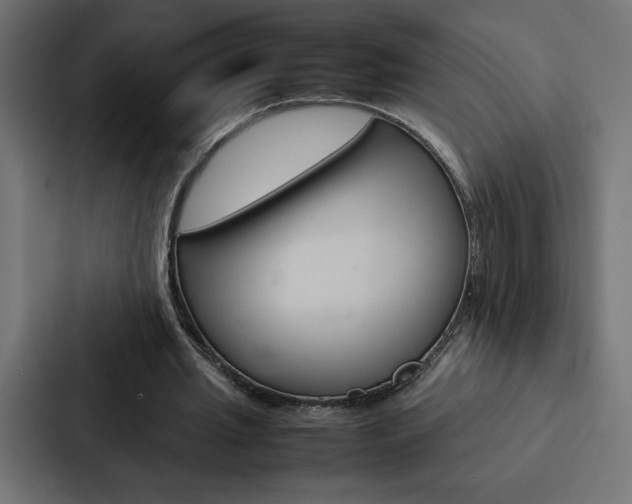 X0000088190437200705151002