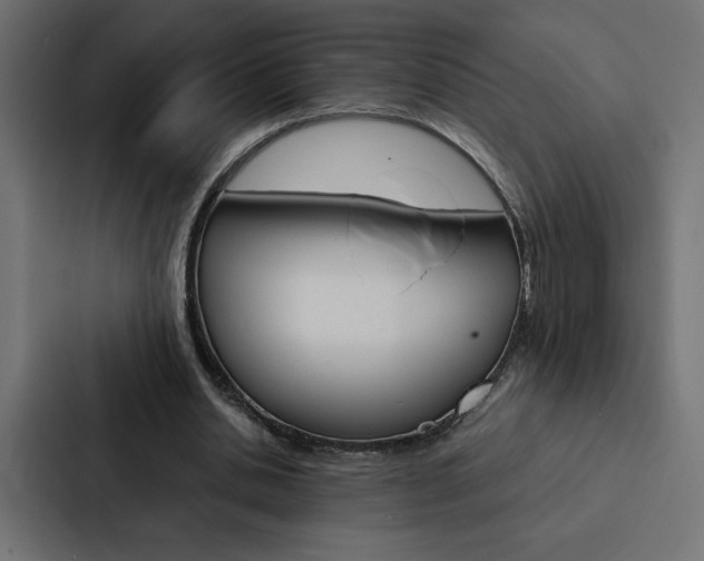 X0000088190438200705151002