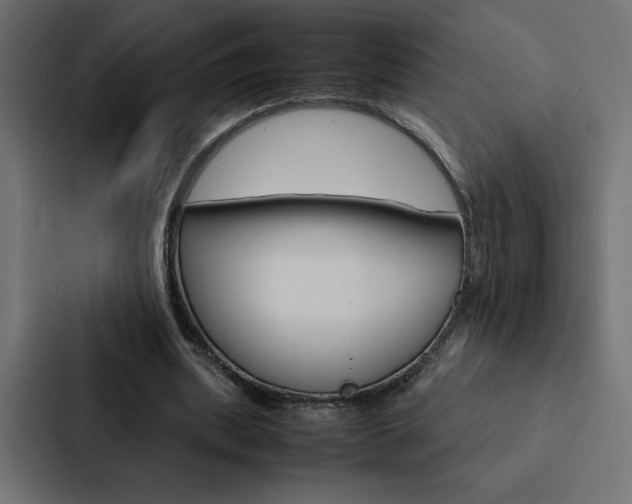 X0000088190439200705151002