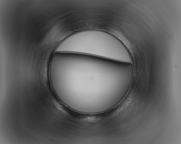 X0000088190441200705151002